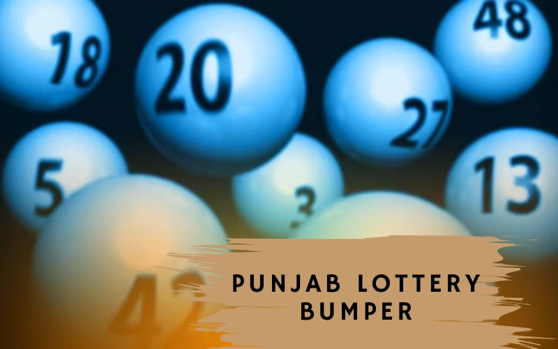 punjab lottery bumper at Sikkim State Lottery featured image